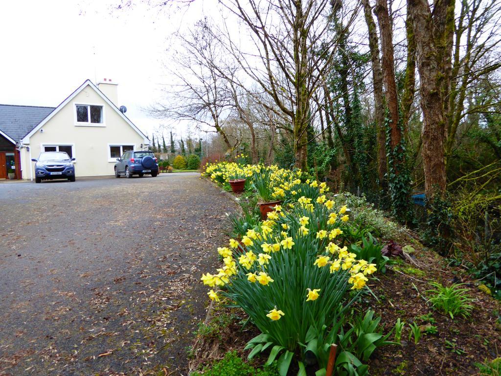 Camillaun Lodge With Lough Corrib Boat Hire Oughterard Bagian luar foto